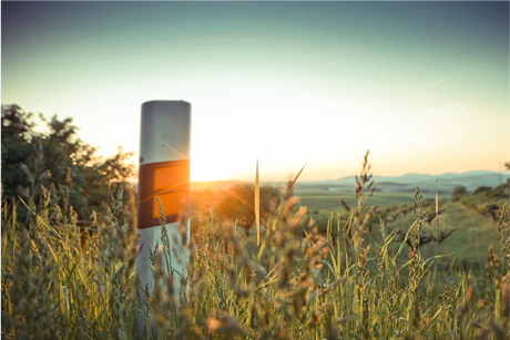 Bot standing on hill